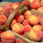 Panorama to illustrate dating in georgia