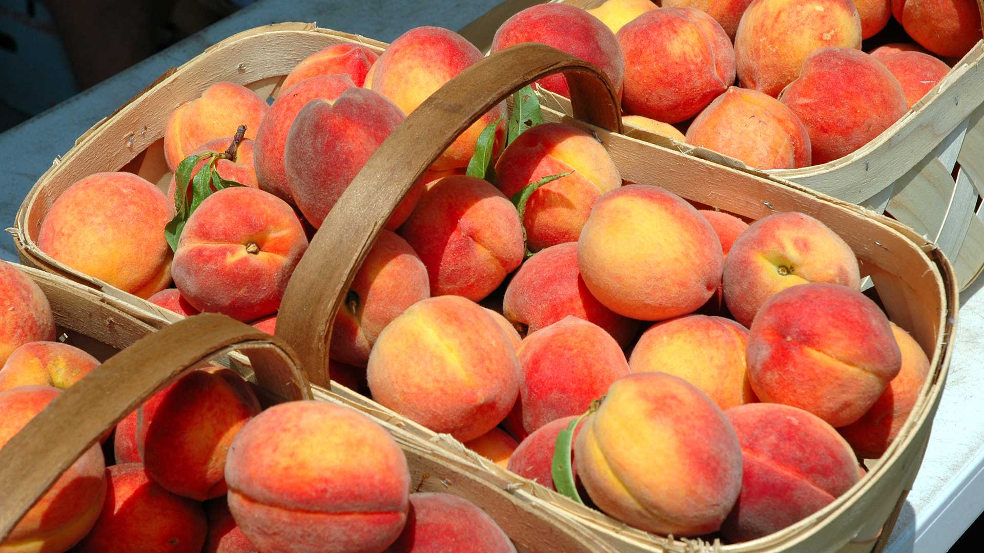 Panorama to illustrate dating in georgia