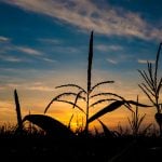 Panorama to illustrate dating in Iowa