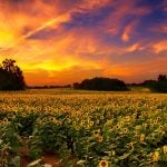 Panorama to illustrate dating in kansas