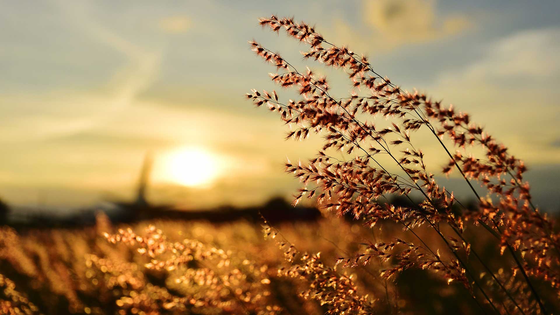 Panorama to illustrate dating in mexico