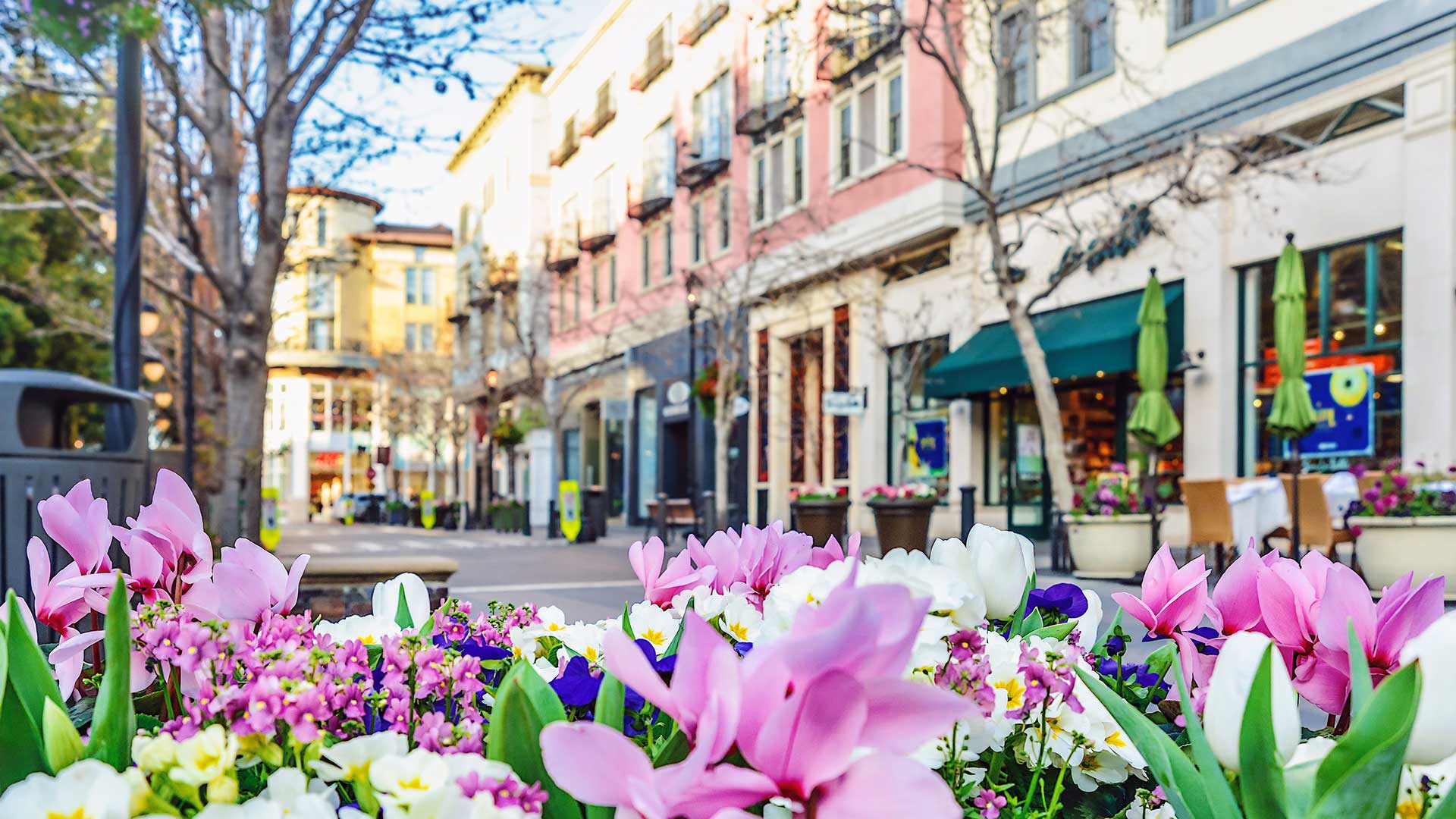 Panorama to illustrate dating in san jose