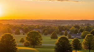 Sunset over nature in wallhaven, Akron.