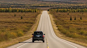 A car driving on a road in the nature.